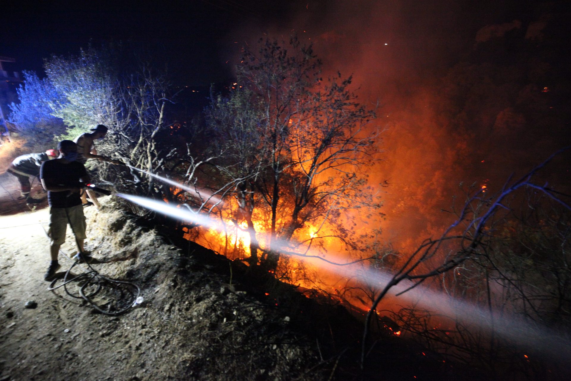 Algeria Enforces Strict Forest Ban to Combat Wildfires