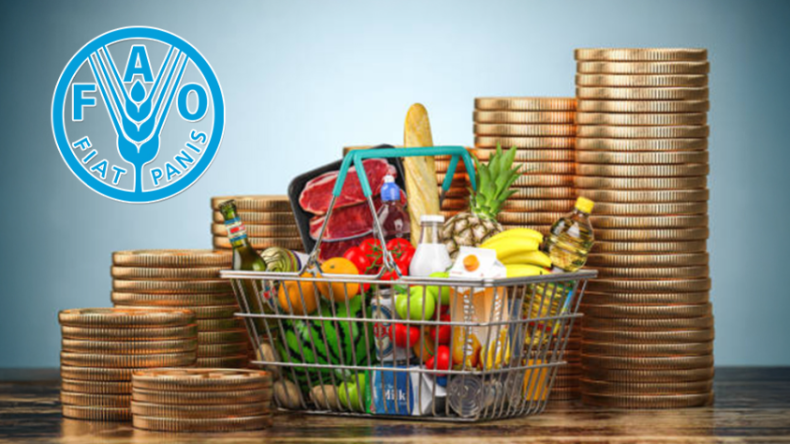 Global Food Prices Stabilize in May 2026 Amid Mixed Commodity Trends
