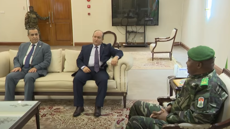 Algerian PM and Niger's President Inaugurate Power Plant, Deepen Bilateral Ties