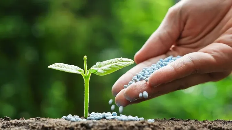 Farmers to Benefit from Bio-fertilization and Waste Valorization Workshop